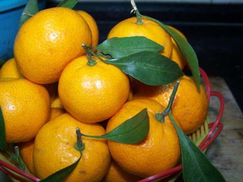 ���Ӵ������м۸�����