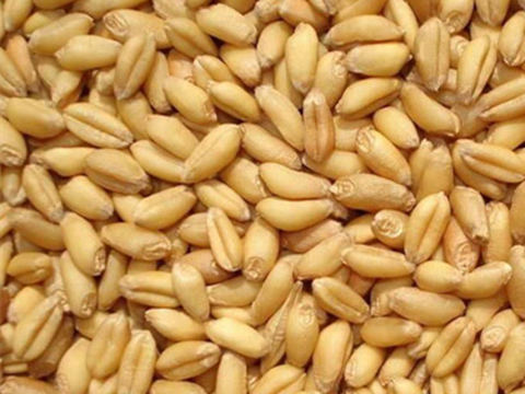 ���С��۸����� �������ǿռ䲻��