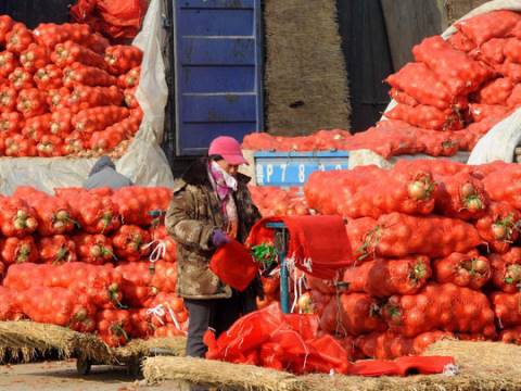 �������߲˴��Ǽ� ��ע���� ��ʱ����