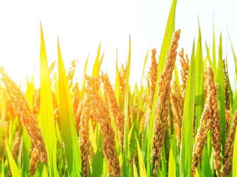 ˮ���۸��λ�� ���ʵ����Ǽۿռ�